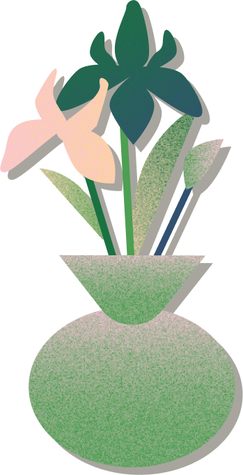 X キャンペーン